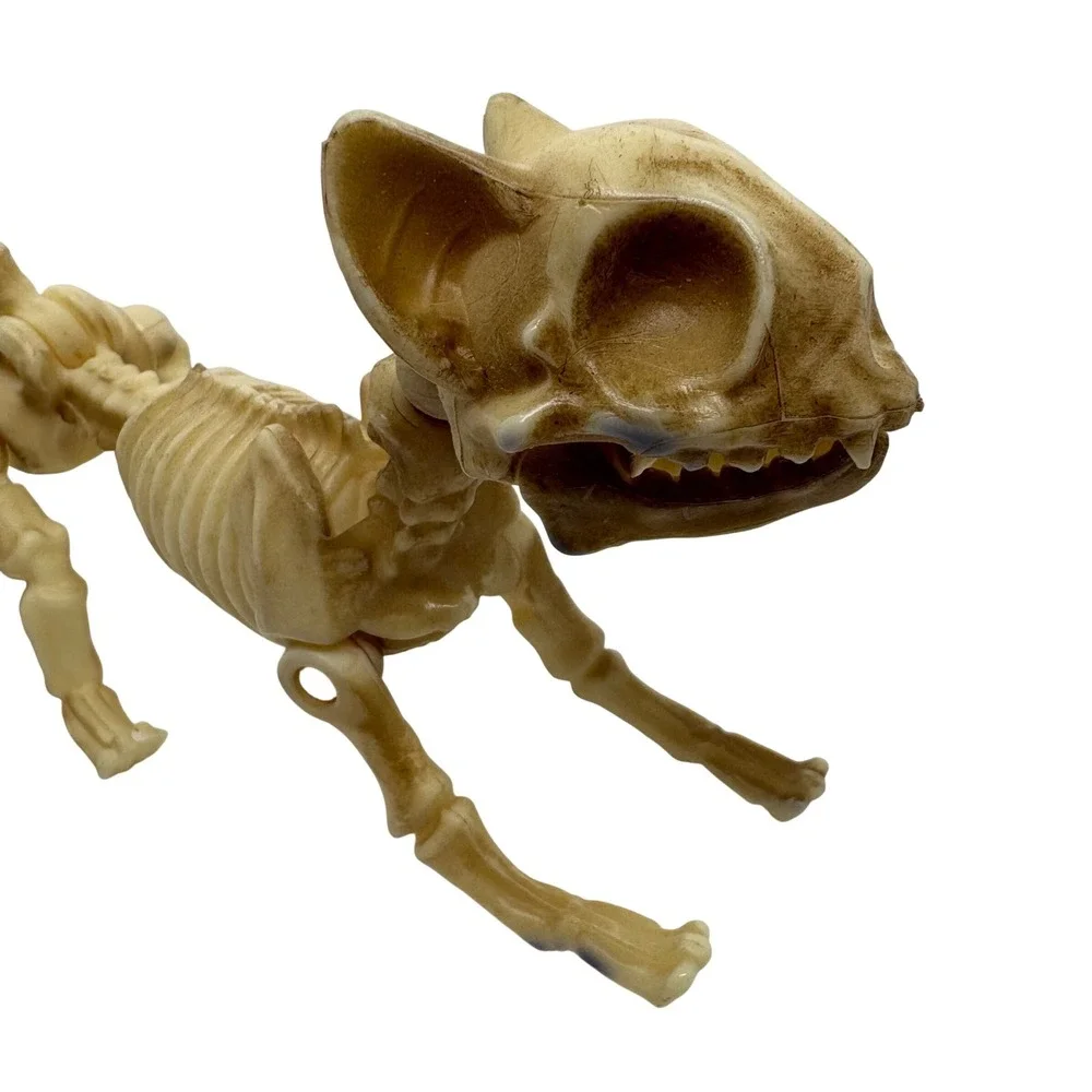 Articulated Cat Skeleton Halloween Figurine Posable Plastic Bone Decor 7 Inch